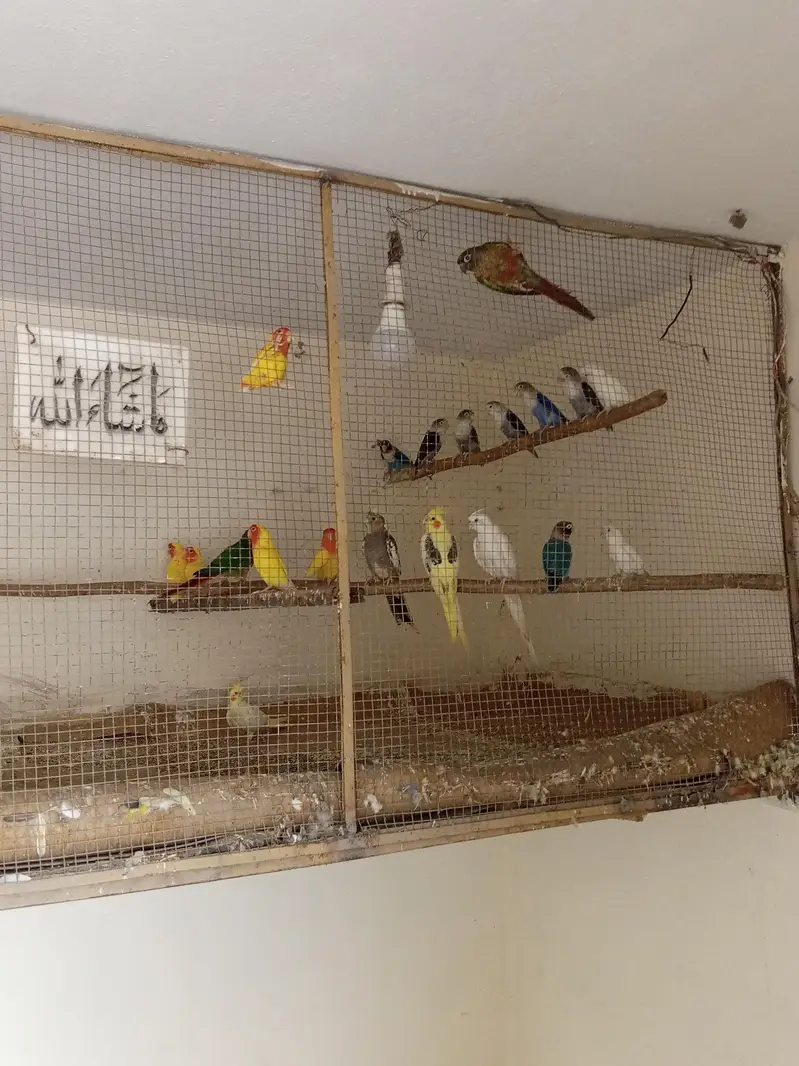 all for sale — photo 2