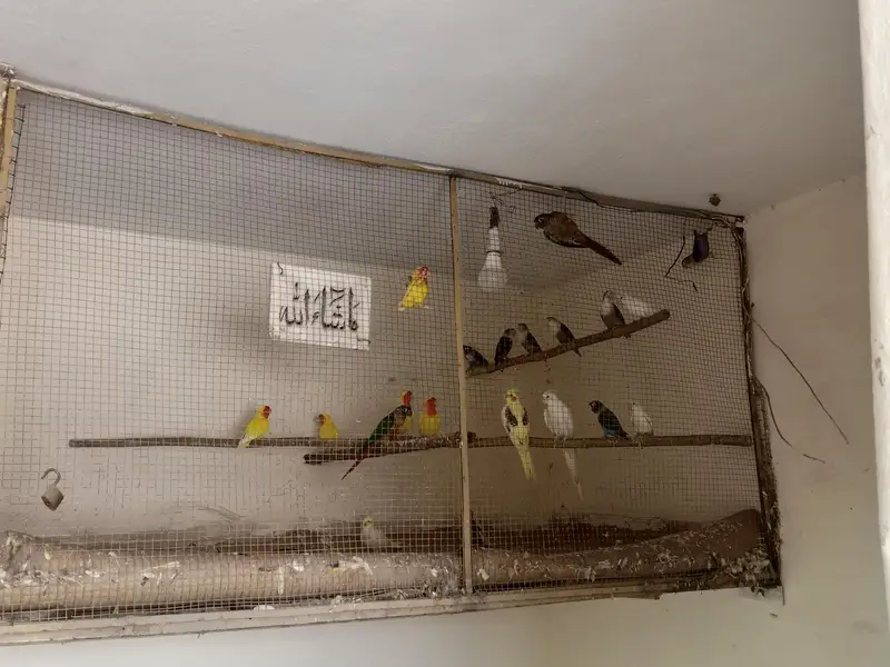 all for sale — photo 3