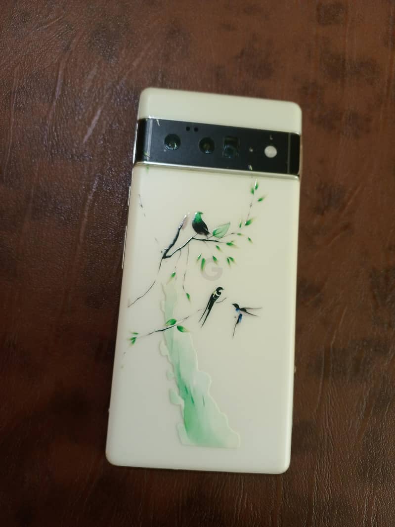 Google Pixel 6 Pro 0