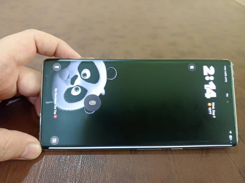 Google Pixel 6 Pro 1