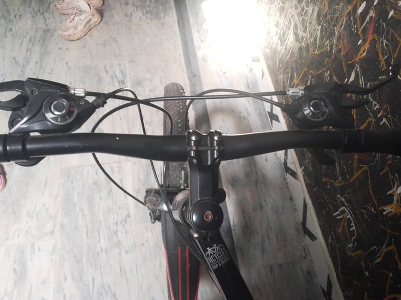 Bicycal 1