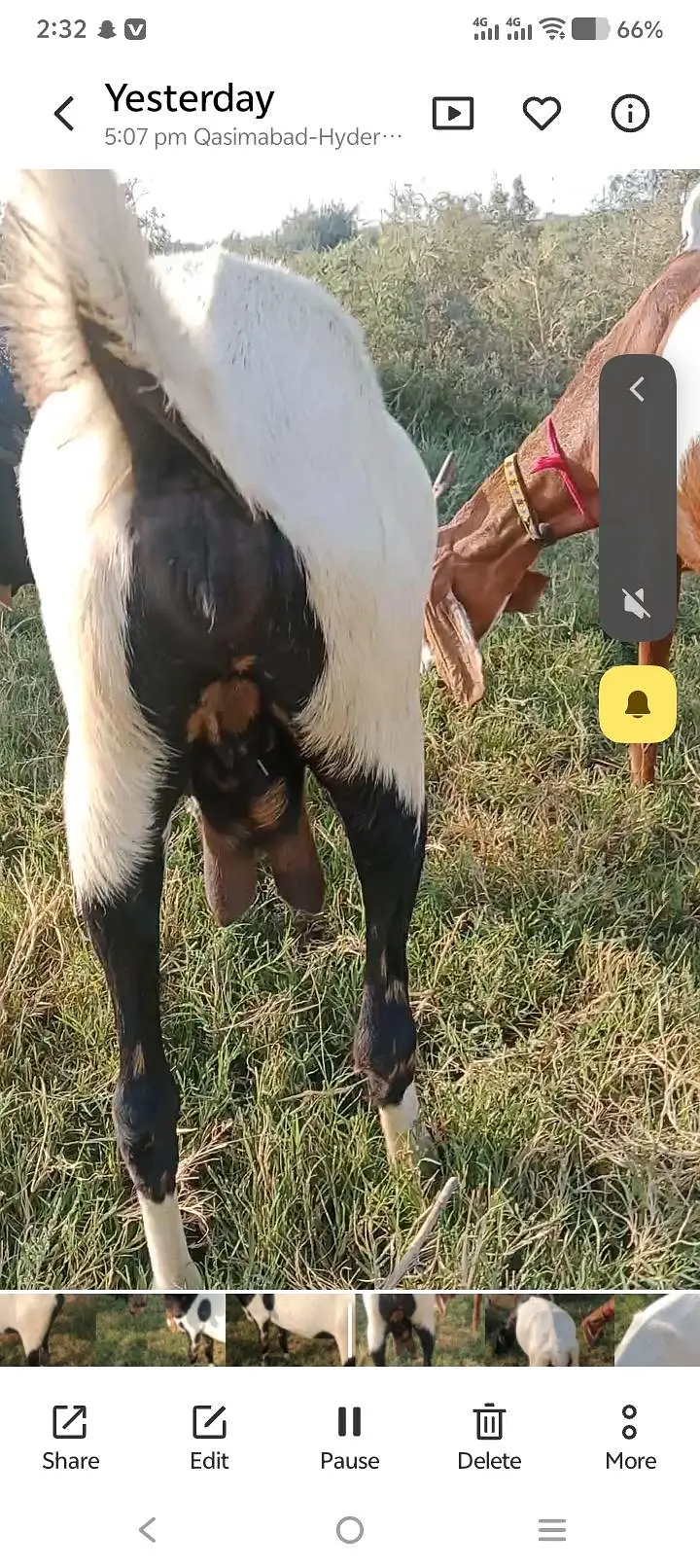 2 manth confirm daban — photo 2