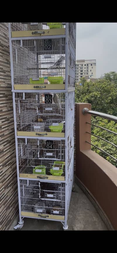 5 portion cage with weels double angle 10/13 wire
