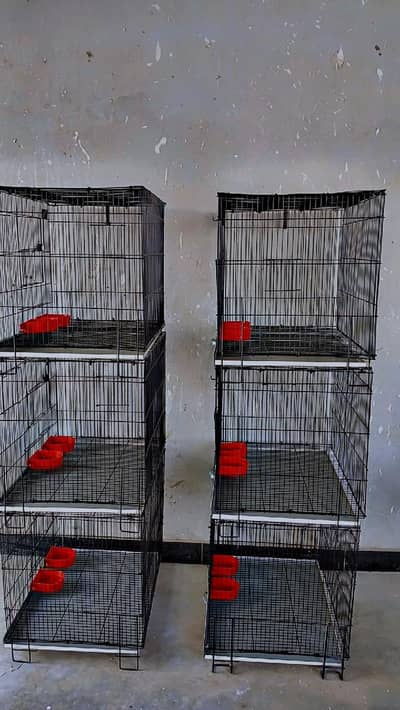 ALI CAGE — AVAILABLE FOR SALE