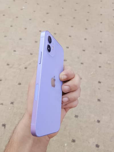 Apple iPhone 12