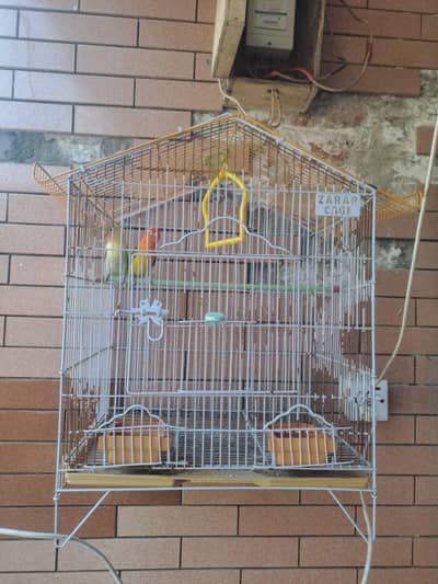 Cage + Love Bird pair