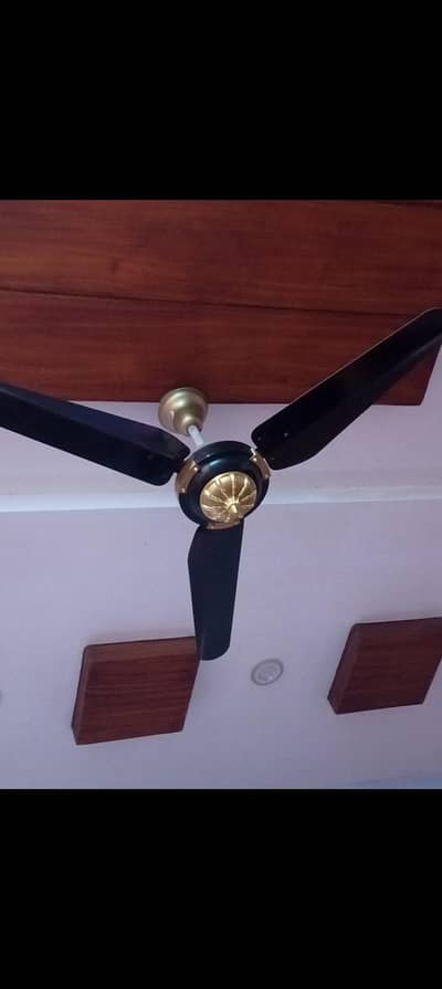 two fans one white & one black