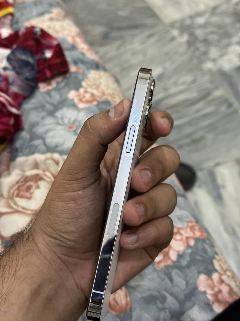 Apple iPhone 13 Pro Max 1