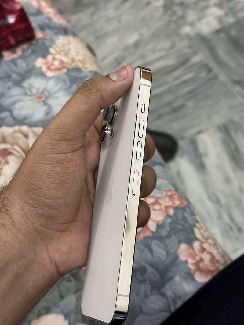 Apple iPhone 13 Pro Max 2