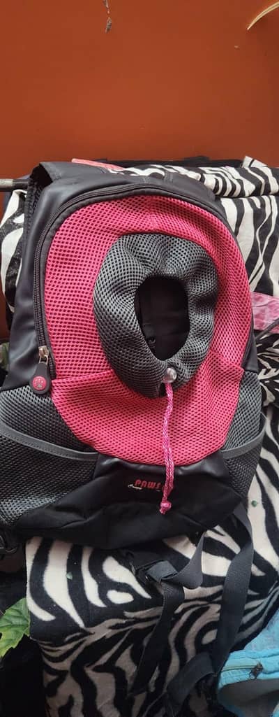 cat accessories new and preloved