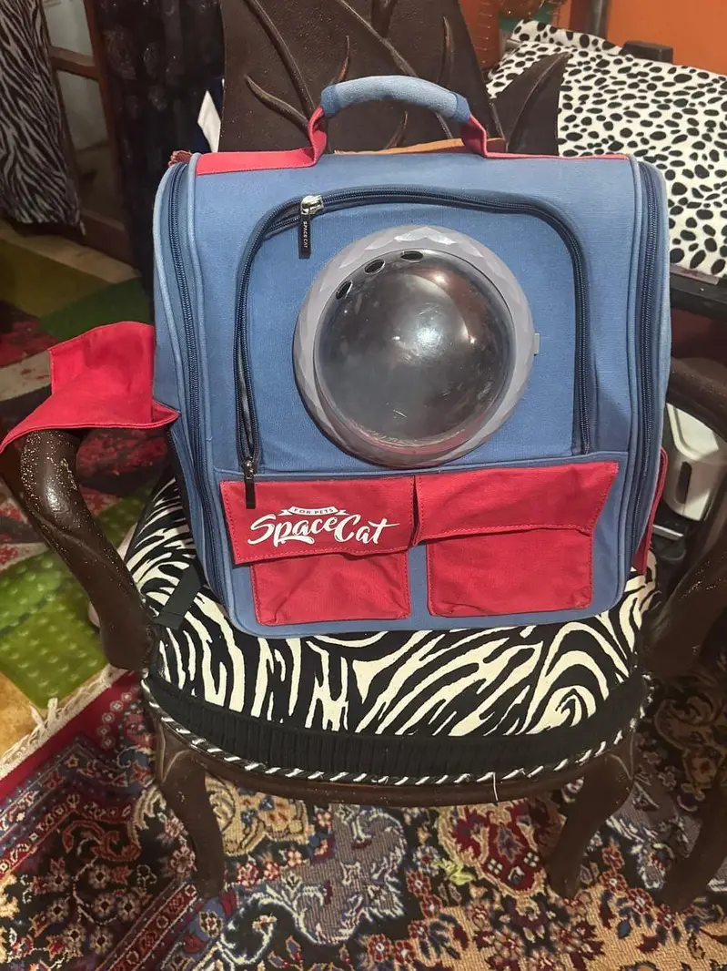 cat accessories new and preloved — photo 2