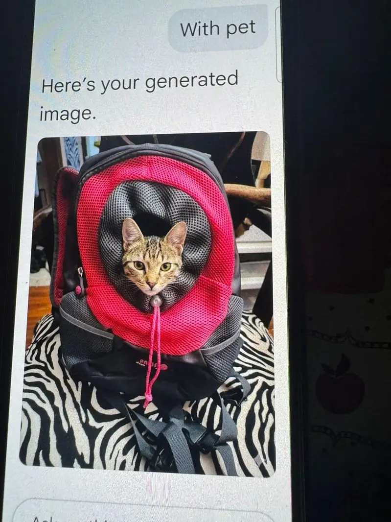 cat accessories new and preloved — photo 4