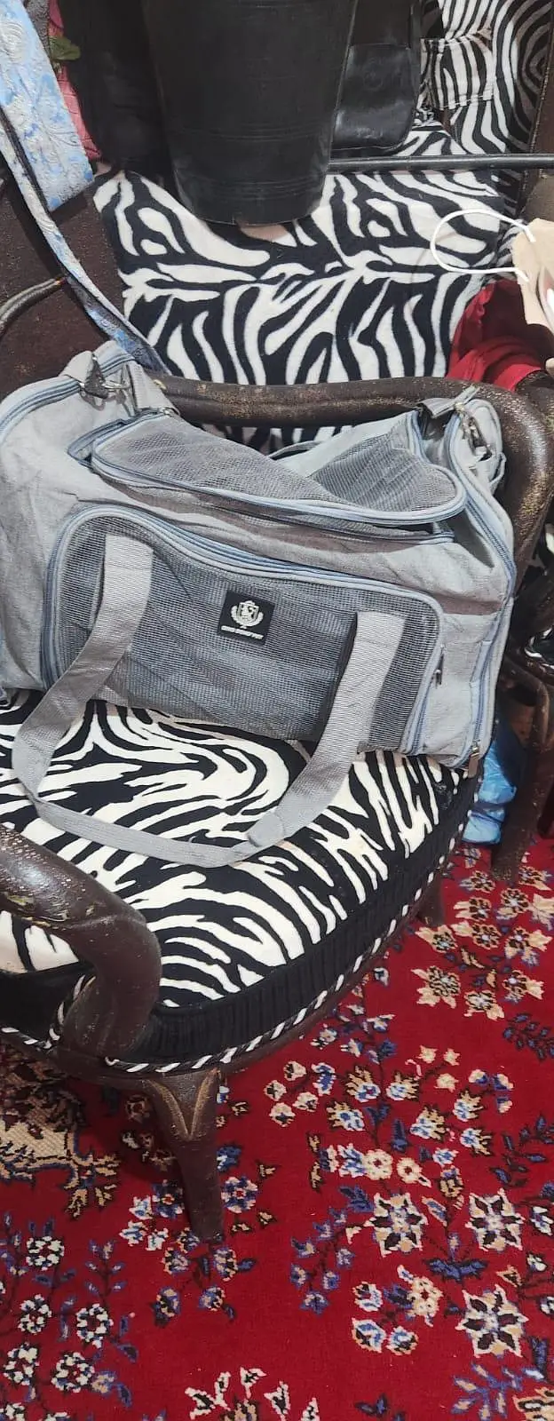 cat accessories new and preloved — photo 6