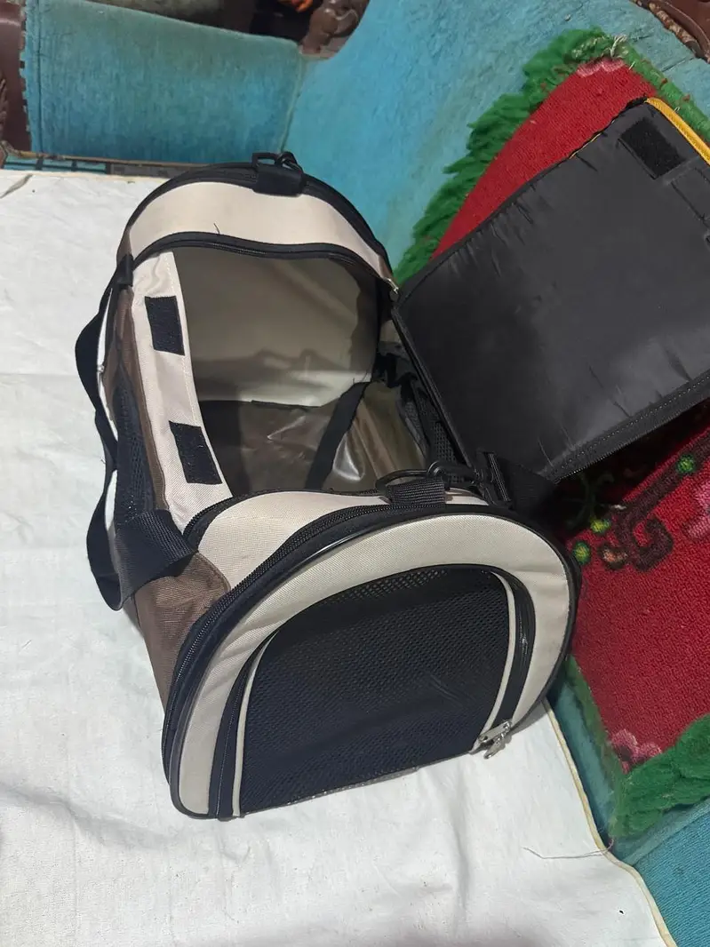 cat accessories new and preloved — photo 8