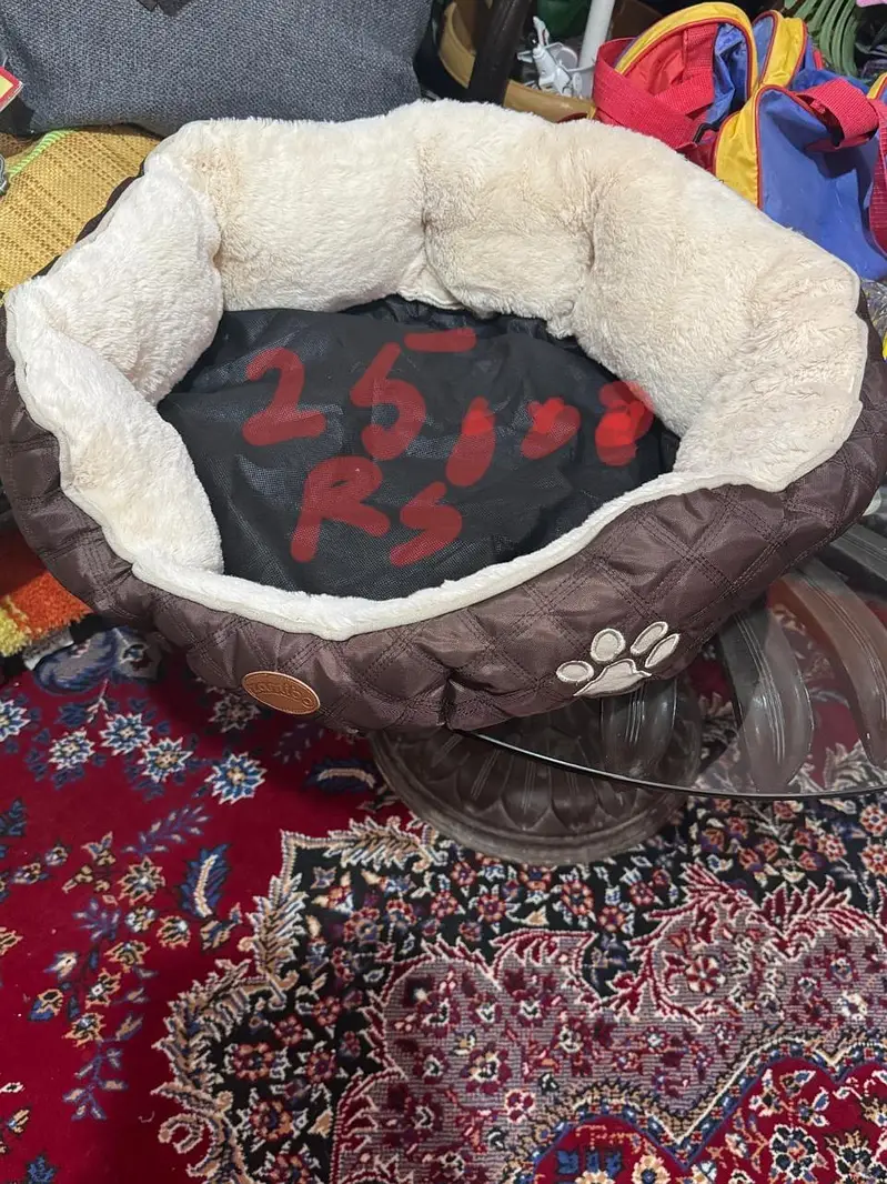 cat accessories new and preloved — photo 10