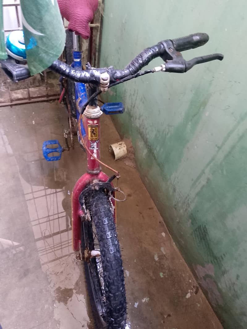 cycle 1
