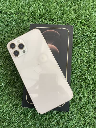 Apple iPhone 12 Pro Max 85% health waterpack