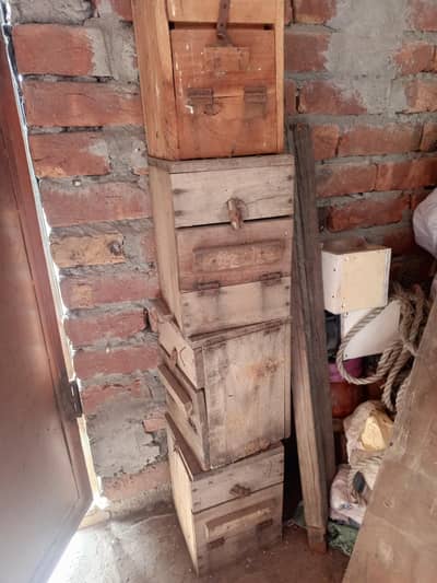 used box