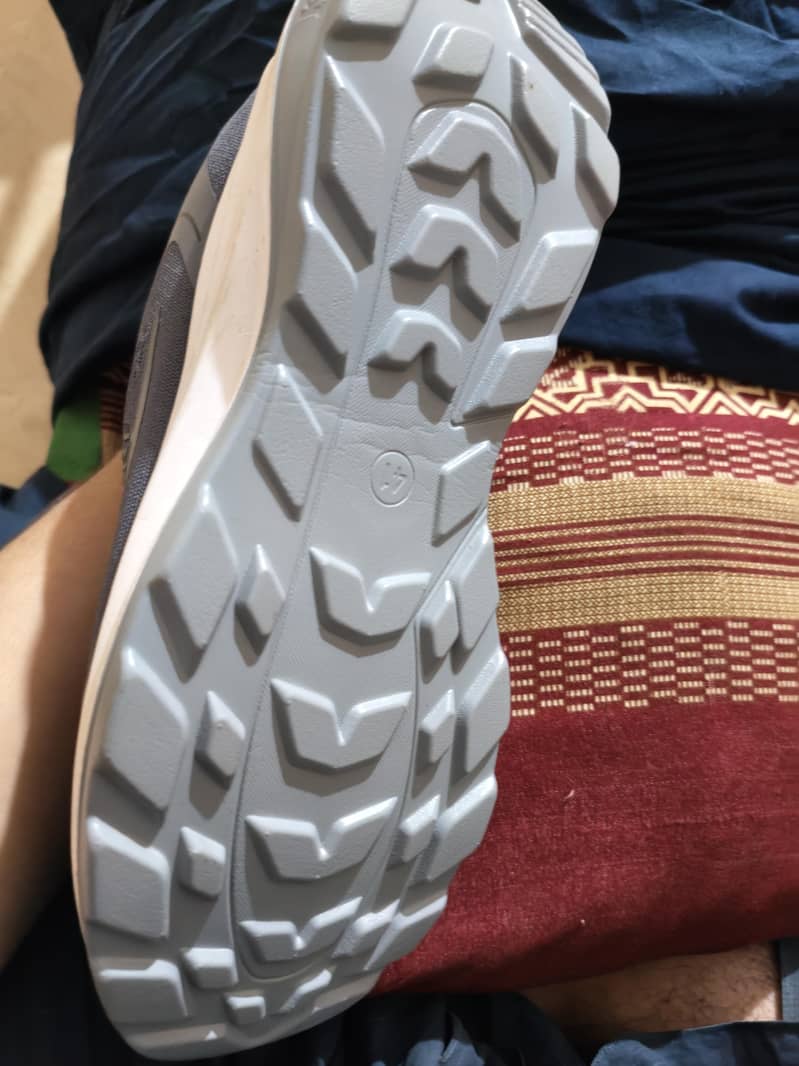 shoos 1