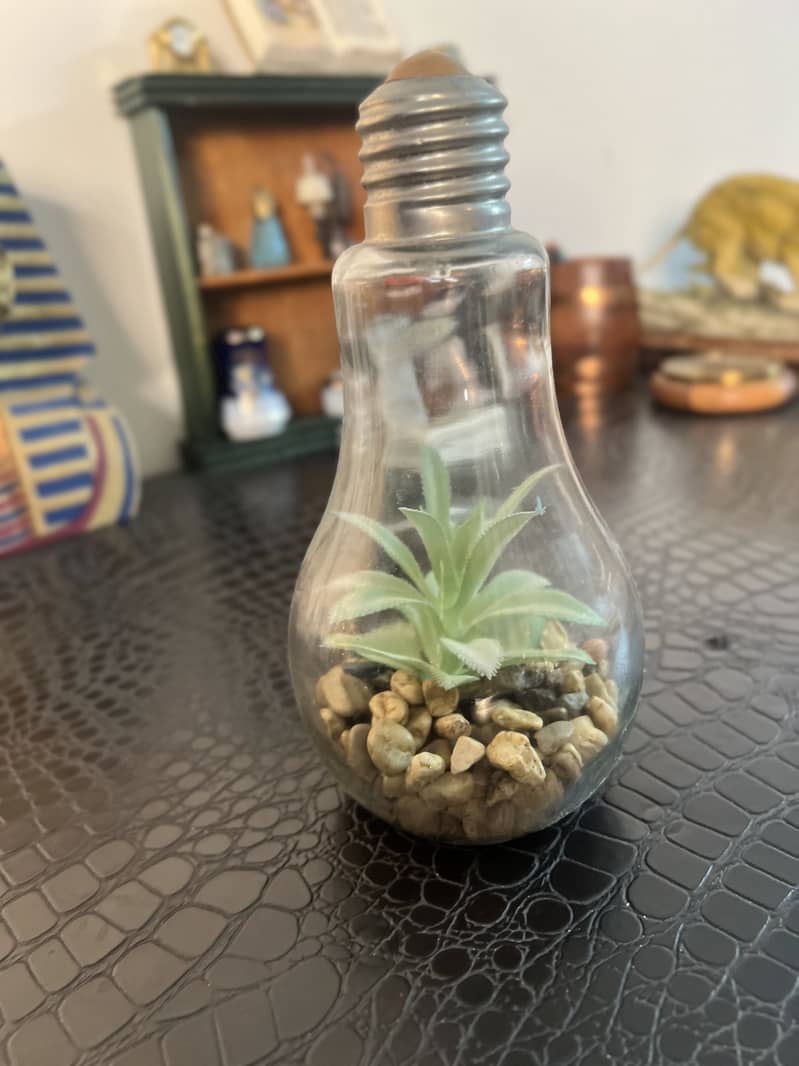 Decor 19