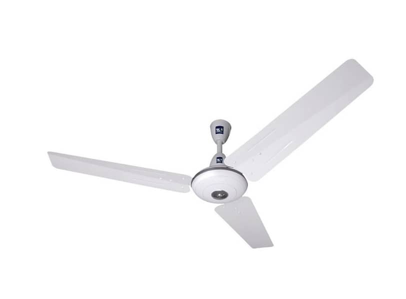 pak fan 1
