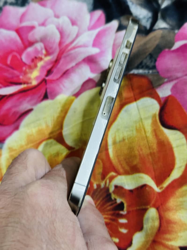 Apple iPhone 14 Pro Max jv 10