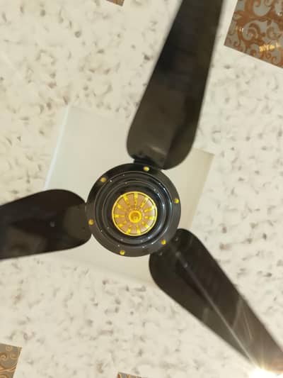 selling fan