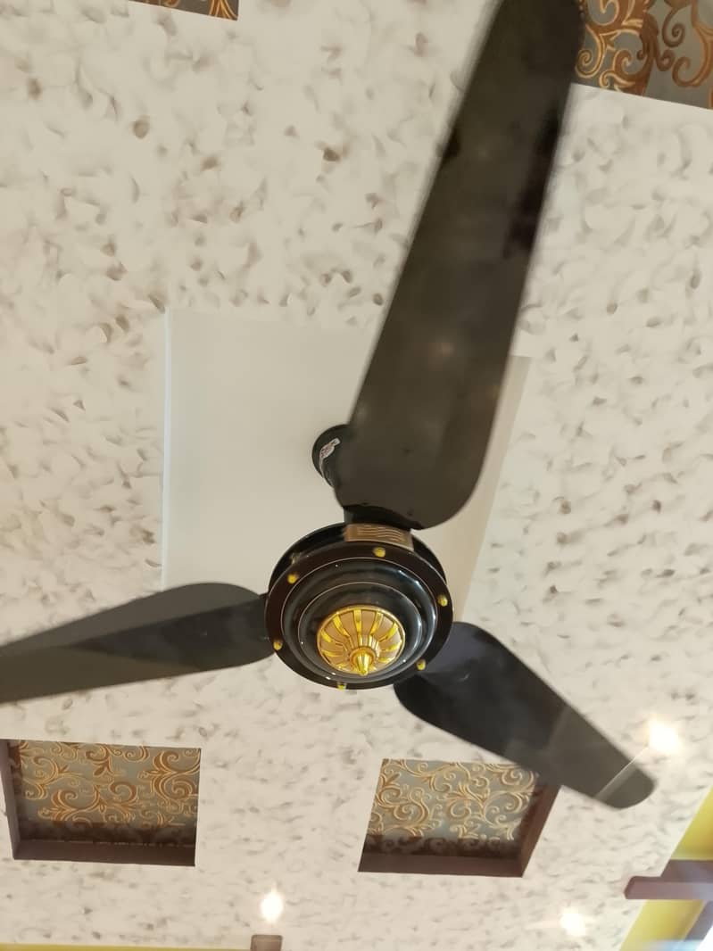 selling fan 1