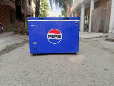 P D freezer singel door Genuine (0336/7070/370) Genuine Set