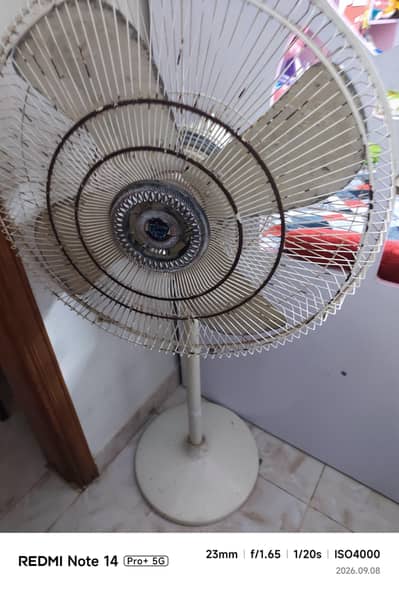 tamoor fan available for sale