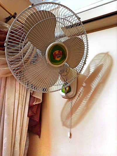 Yunas Bracket Fans