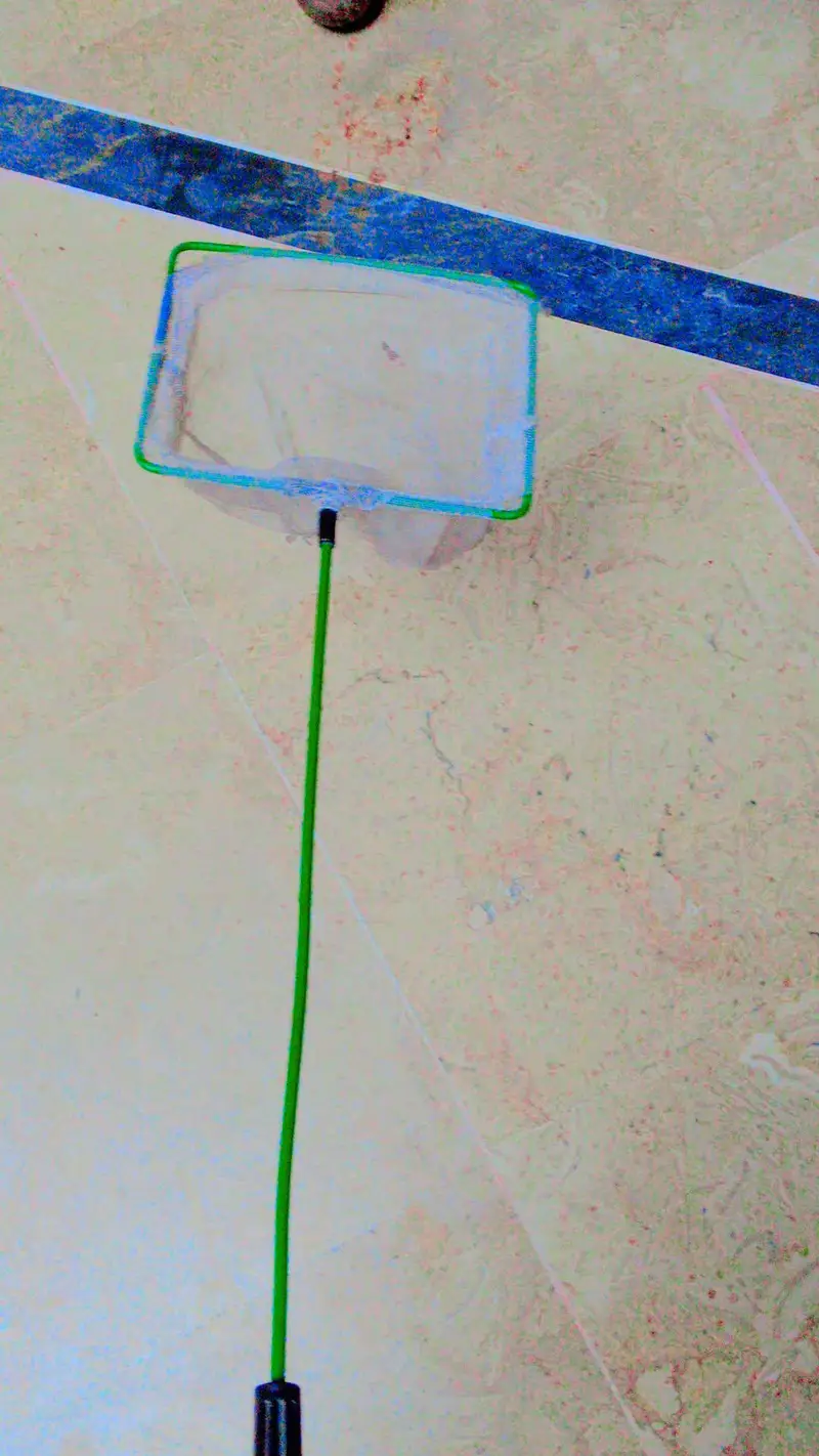 fish aquarium with fish with filter with net with feed 10 by 10 — photo 7
