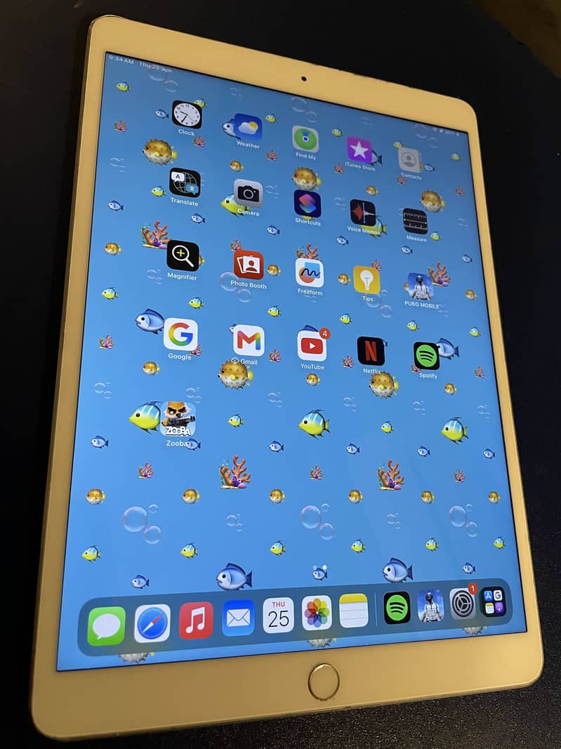 iPad Pro 2017 (256 Gb) 2
