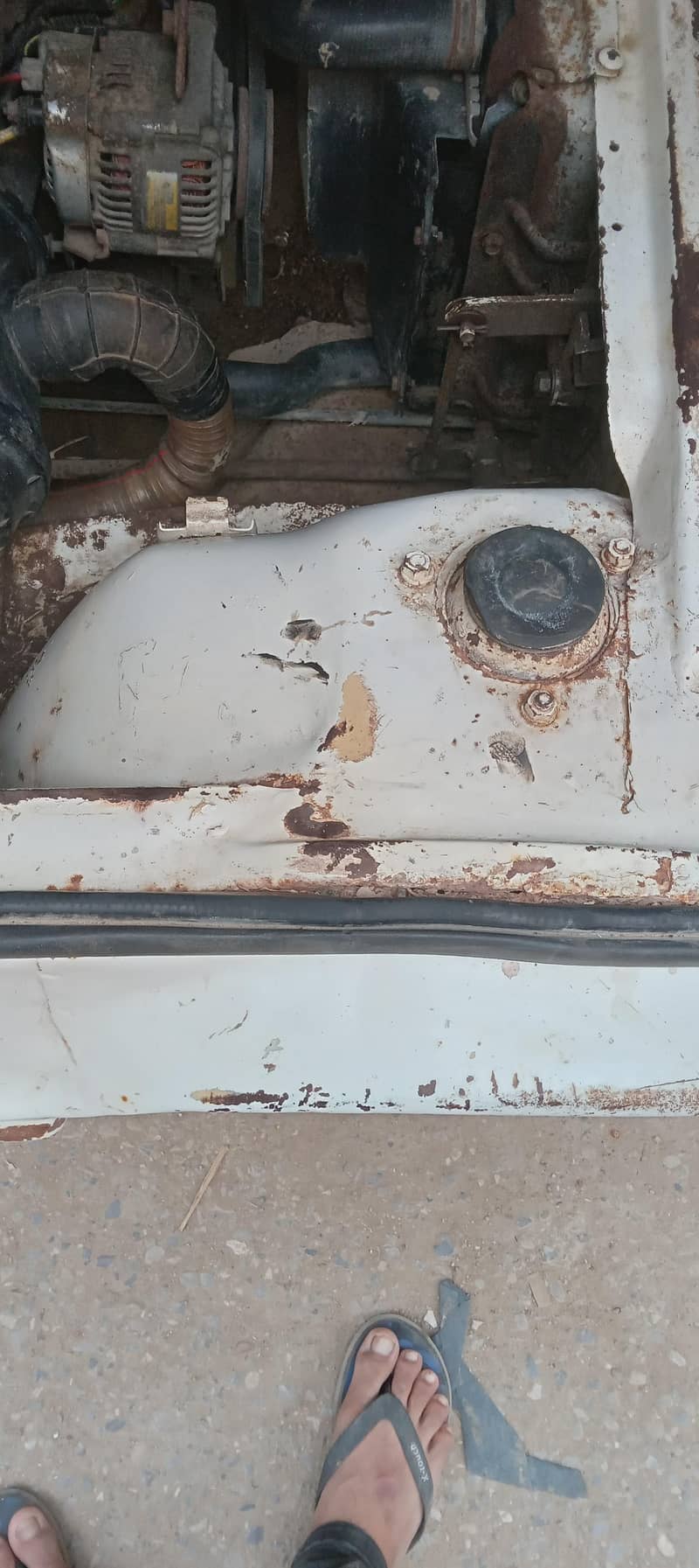 Suzuki Ravi 2016 8