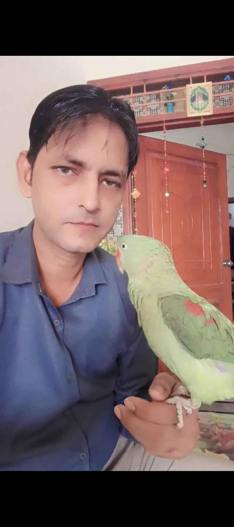 Raw Parrot for Sale — photo 3