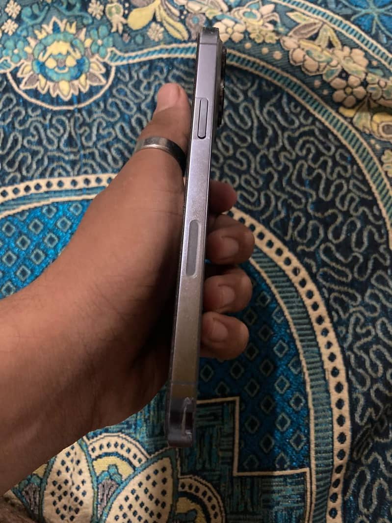 Apple iPhone 13 Pro Max 2