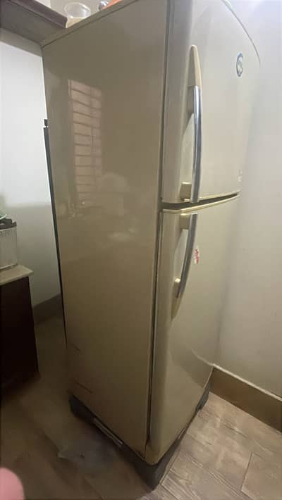 PEL Fridge Full size neat condition