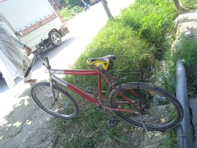 24 inch tyres with single frame