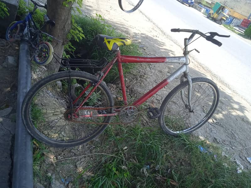 24 inch tyres with single frame 1