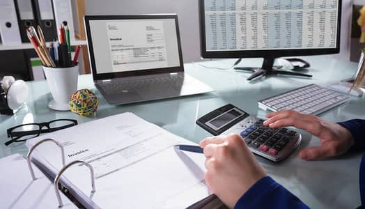 i’m a professional accountant