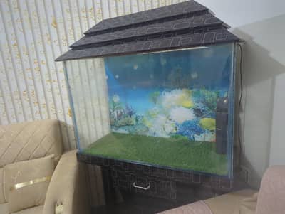 fish aquarium for sale