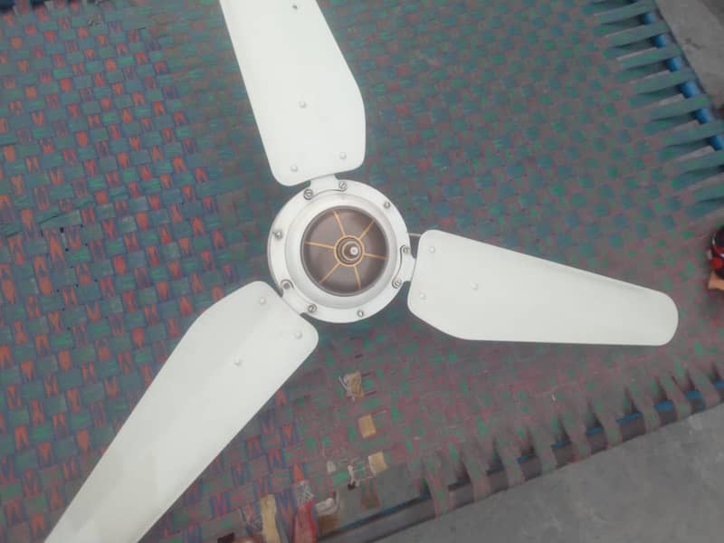 ceiling fane 1