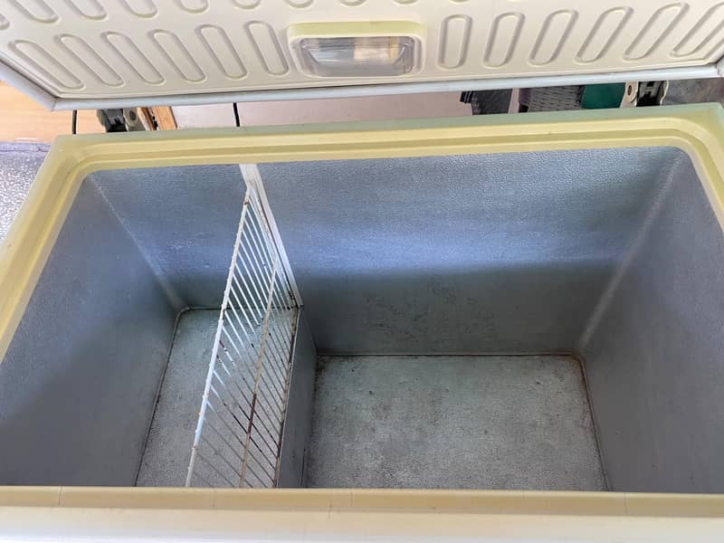 Deep Freezer Frozen 2