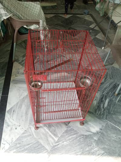 cage, bird cage , parrot cage