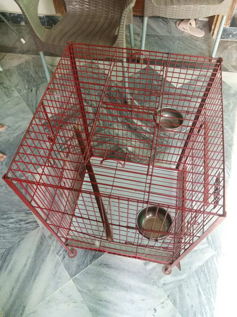 cage, bird cage , parrot cage — photo 2