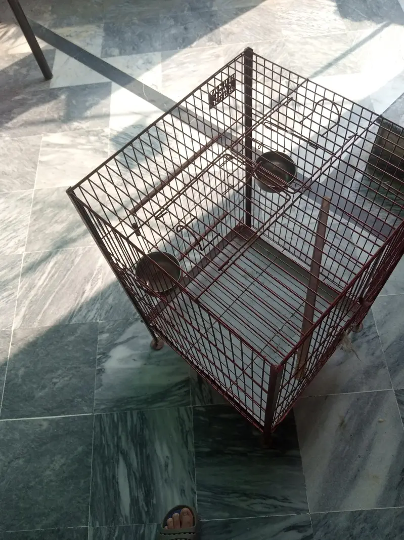 cage, bird cage , parrot cage — photo 3