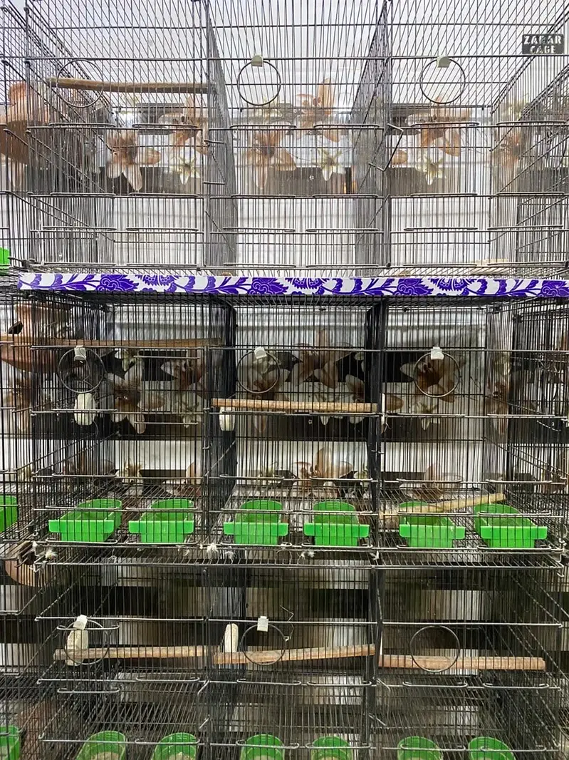 8 portion cages 12 portion cage and 4 portion cage — photo 2