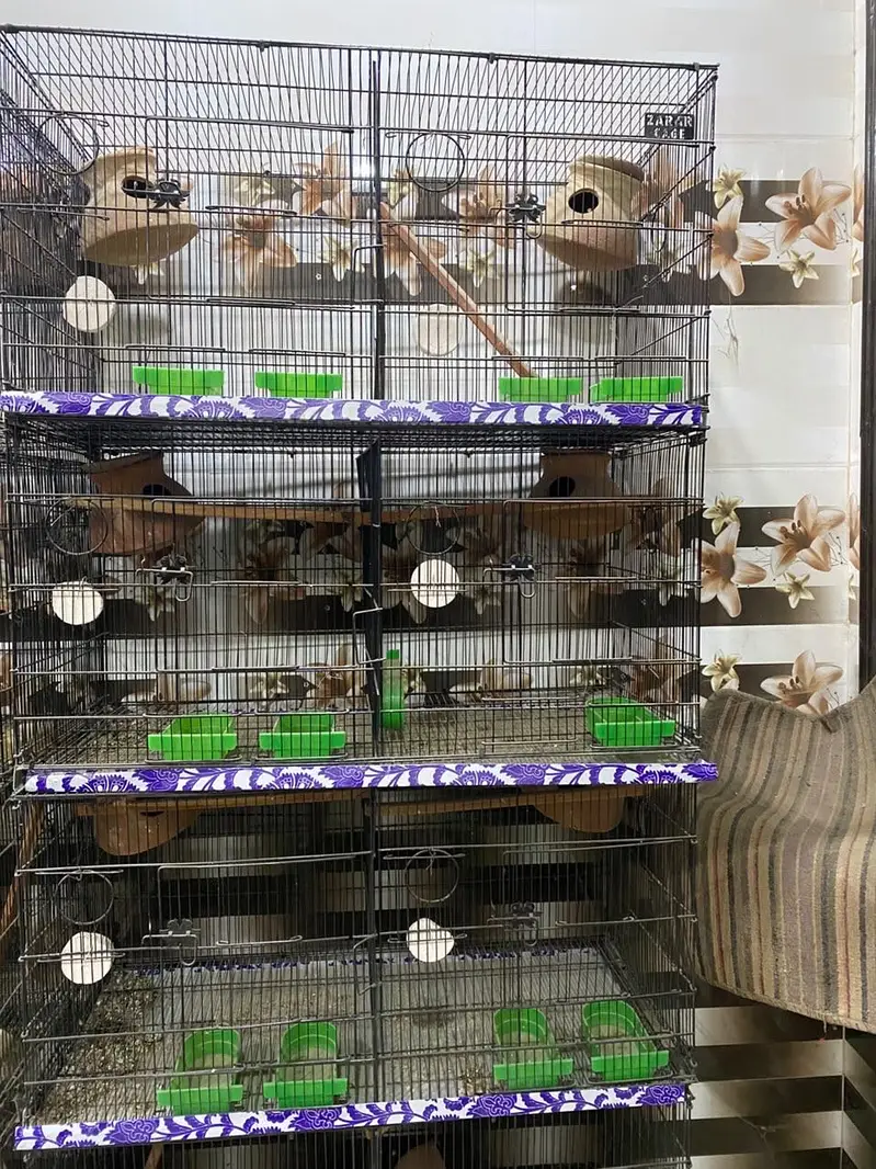 8 portion cages 12 portion cage and 4 portion cage — photo 4