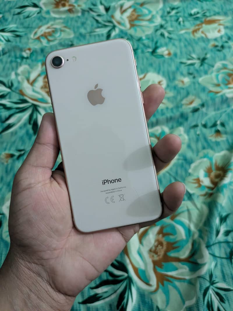 Apple iPhone 8 0