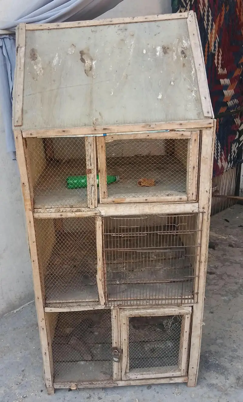 Cage for Hen Wodden Cage for sale for chiks